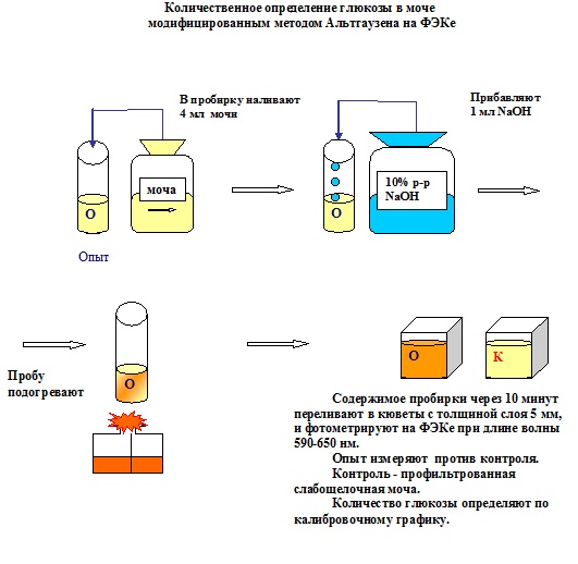 Обнаружение глюкозы в моче. Метод обнаружения Глюкозы в моче. Метод определения Глюкозы в моче. Глюкоза метод количественного определения. Методика определения сахара в моче.